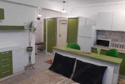 Apartament 1 Camera Centru - Palas - 2