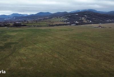 Spațiu comercial, în Central