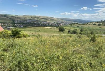 Vanzare teren intravilan, 700 mp., Chinteni - 4