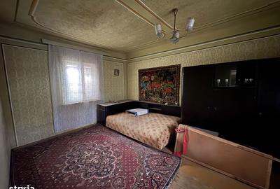 Casă cu 4 camere cu Teren 3767 Mp în Borș - 11