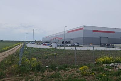 Teren Construcții intravilan de 25000 mp, în Lazu - 5