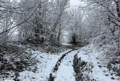 Teren de 3824 mp, în Provița de Jos - 2