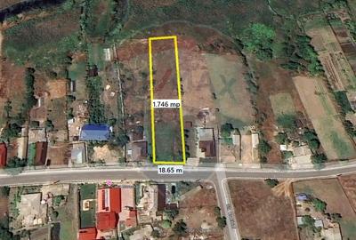 Teren Construcții intravilan de 1746 mp, în Murighiol - 1