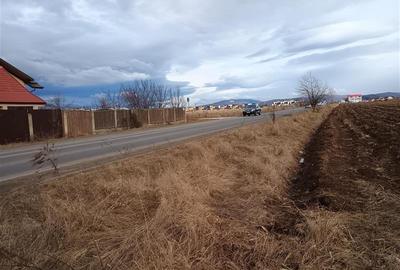 Teren agricol extravilan de 9000 mp, în Nord-Vest - 3