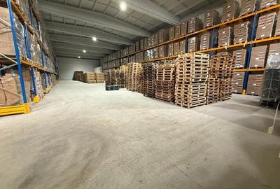 De Vanzare Hala Industrială Modernă - Oportunitate Unică în Sector 3 - 1