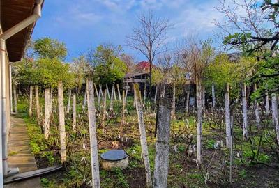 Casă cu Teren 1400 Mp în Central - 6