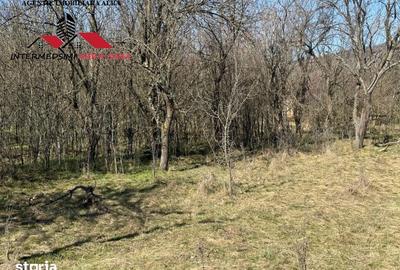 Casă cu 4 camere cu Teren 7701 Mp în Vințu de Jos - 7