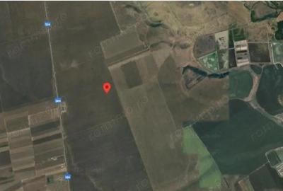 Teren extravilan cota parte 1/2 Alexandria, ID: R2814838 - 7