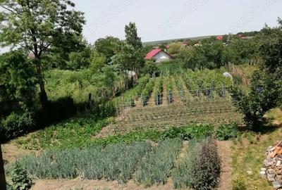 De vanzare teren intravilan 1550 mp cu casa la ro?u Voinesti, jud. Ia?i - 5
