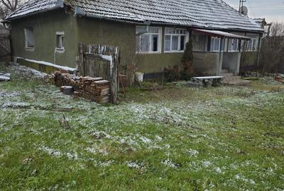 Casă cu 2 camere în Păușa - 6