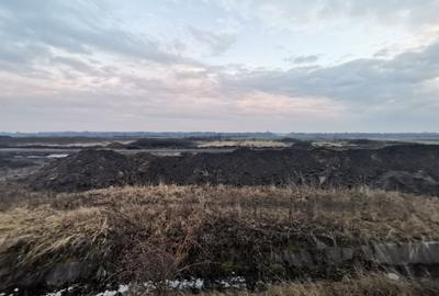 Vand teren industrial Ghiroda 18866 mp 943000 euro - 10