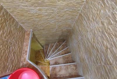 Inchiriere vila zona Stefan cel mare - Tunari - 12