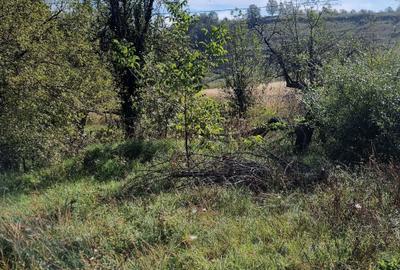 Spațiu comercial, în Cracu Almăj - 9