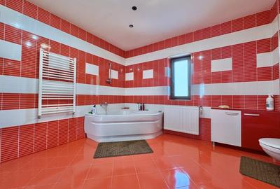 Casǎ Individualǎ/Pensiune/Turism - Ocna Sibiului - 1546 mp teren - 14