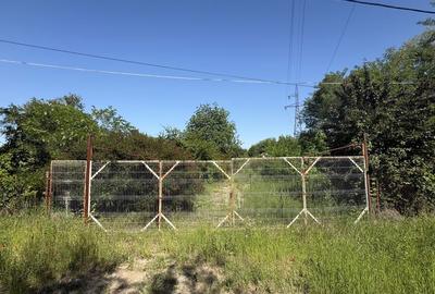 Teren de 7000 mp, în Braniște (Daneți) - 5