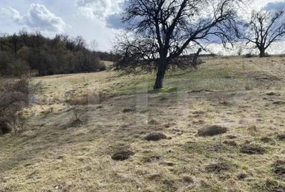 Teren de 7500 mp, în Central - 8