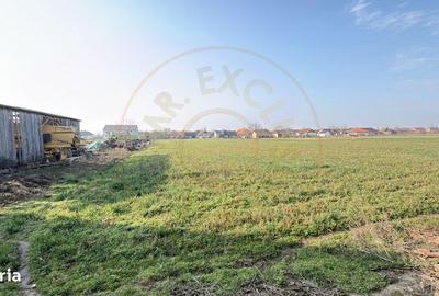 Casă cu 4 camere semidecomandat în Tiream - 10