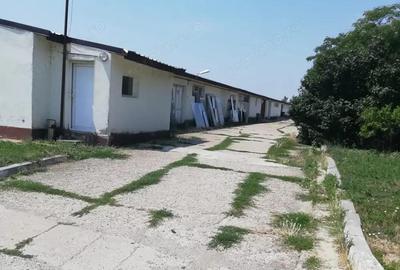 Inchiriere spatiu depozitare 440mp Silistea Snagovului - 1