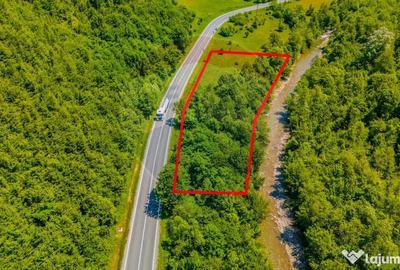 Teren de 3750 mp, în Brădet - 5