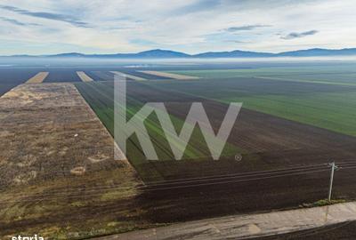 Teren de 16000 mp, în Hărmanului - 9