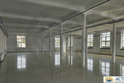 Spatiu industrial de inchiriat in Cisnadie-Sibiu - 3