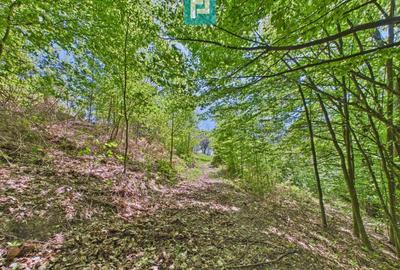 Casă individuală cu 2 camere cu Canalizare în Măgulicea - 27