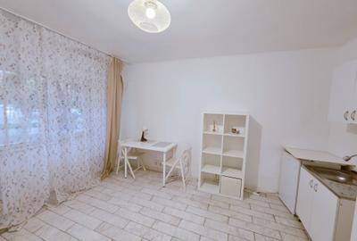 Inchiriere garsoniera Sala Palatului mobilata hochparter/8 stradala - 13