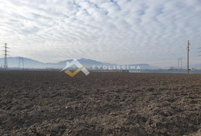 Teren Construcții extravilan de 40100 mp, în Sânpetru - 2