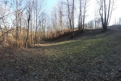 Teren de 4750 mp, în Provița de Sus - 10
