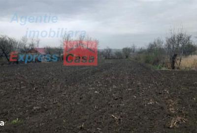 Teren de 3000 mp, în Prisăcani - 4