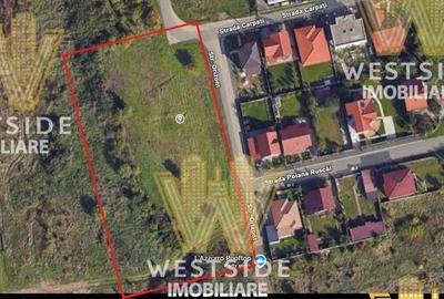 Teren de vanzare calea Lugojului - 3