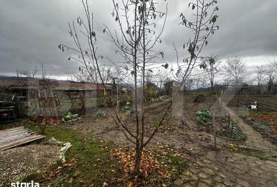 Casă cu 4 camere cu Teren 650 Mp în Vințu de Jos - 3