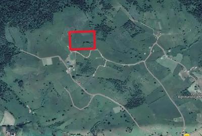 Teren de vanzare ideal pentru cabana in Maguri Racatau - 1