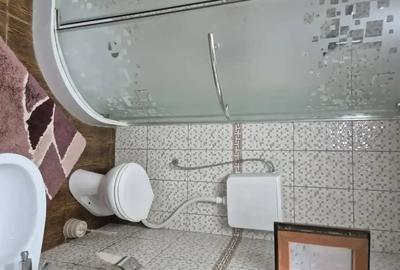 Casă cu 3 camere cu Teren 17000 Mp în Coman - 8