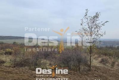 Teren de 900 mp, în Central