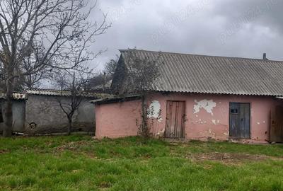 Casă cu 4 camere în Slava Rusă - 4