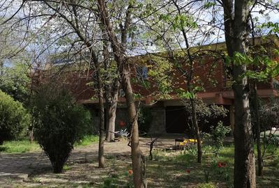 Casă individuală cu 12 camere cu Teren 1000 Mp în Central - 4