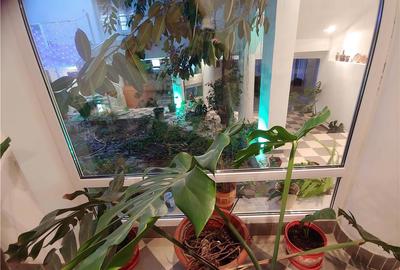 Casă cu 11 camere în Central - 10