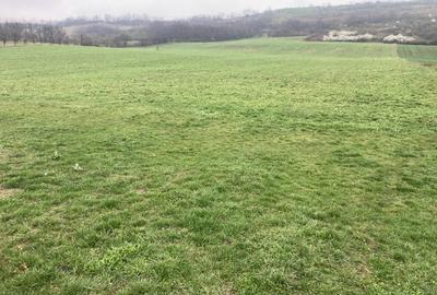 Miroslava! Teren agricol 6435, la 2 min de Primarie! Miroslava! Teren agricol 6435, la 2 min de Primarie! - 2