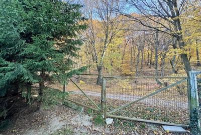 Vilă individuală de vânzare în Râșnov, Zona Primăverii | Natură și Confort - 8