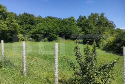 Teren intravilan, 2200mp, front 30 ml, Siret - 1