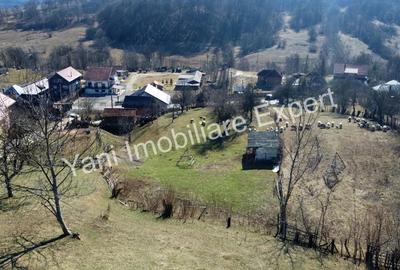 Teren de 2470 mp, în Valea Iașului