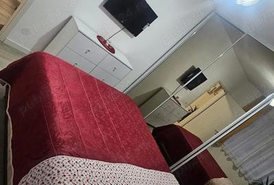 Apartament cu 2 camere decomandat în Chinteni - 5