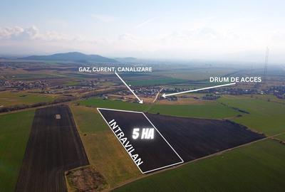 Teren Construcții intravilan de 50000 mp, în Bod