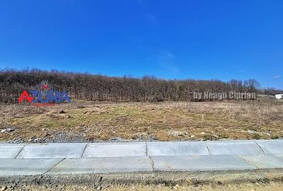 AZURA IMobiliare - Teren Bascov 2km de Giratoriu - 6