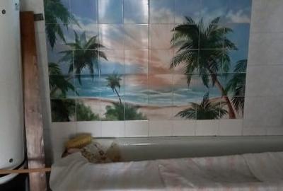 Casă individuală cu 3 camere cu Teren 15554 Mp în Central - 8