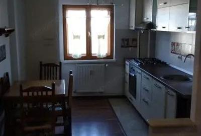 Apartament cu 3 camere decomandat în Paltiniș - 12