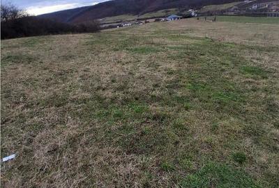 Teren de 5487 mp, în Sânmartin - 4