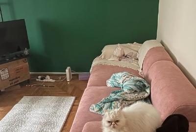 Apartament cu 2 camere decomandat, mobilat în Broșteni - 2