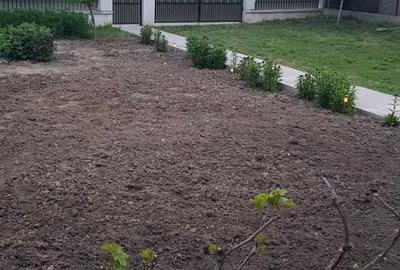 Vanzare casa vacanta - 2